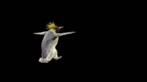 Halloween, Ghost, with Alpha matte. Stock Footage 151418482