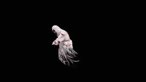 Halloween, Ghost, with Alpha matte. 库存影片 156036589