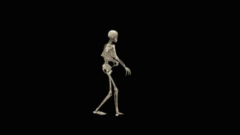 Halloween, Ghost, with Alpha matte. 스톡 동영상 156195030