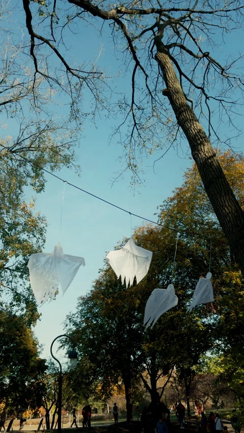 Halloween ghost decor that hanging on the tree at bright sunny day. Ve Stock-Footage 306322929