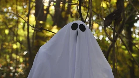 Halloween ghost figure floating in forest environment with warm fall colors.. Stock Footage 339273154