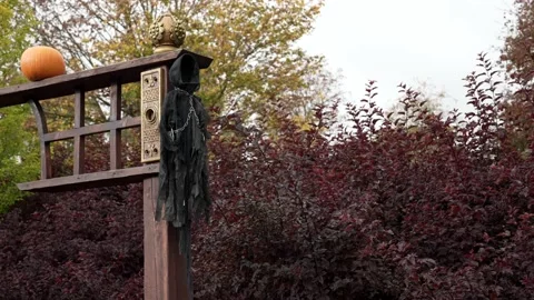 Halloween, a ghost hangs on a pole Stock Footage 219584088