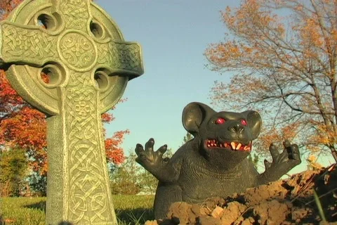 HALLOWEEN GRAVE 2 Stock Footage 87716