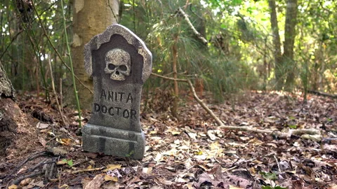 Halloween gravestone in haunted forest. Stock Footage 341316531