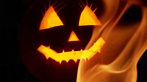Halloween haunted  background Stock Footage 115317244