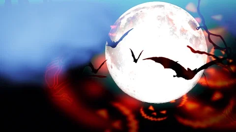 Halloween haunted bats background Stock Footage 95806027