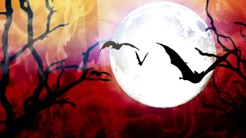 Halloween haunted forest background Stock Footage 81507257