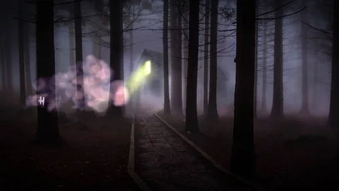 Halloween haunted trees background Stock Footage 80264845