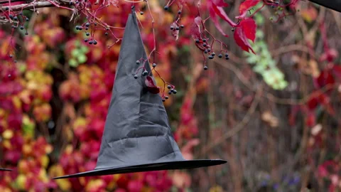 Halloween holiday in October witch hat blowing in the wind. Stock Footage 254433893