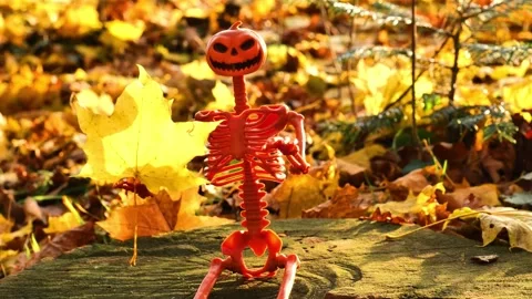 Halloween holiday.Skeleton with maple yellow leaf Stock Footage 309812494