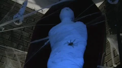 Halloween House Full of Decorations and Scary Spider webs and Skulls Mummy i Stock Footage