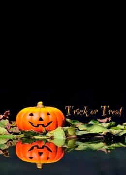 Halloween Stock Illustration