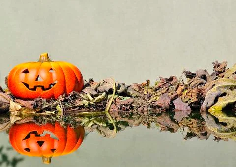 Halloween  Stock Illustration