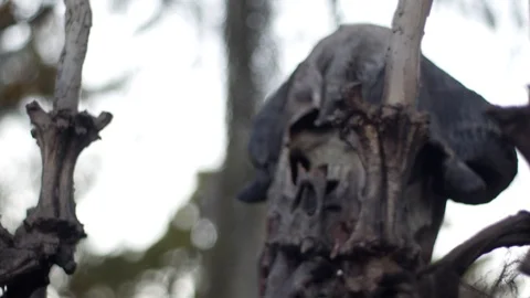 Halloween installation - monster Stock Footage 98220891
