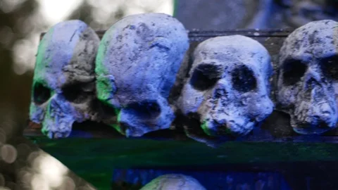 Halloween installation of skeletons Stock Footage 98221293