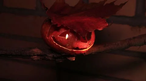 Halloween jack-o-lantern on a dry branch 動画素材 68535396