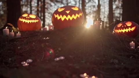 Halloween jack-o-lantern pumpkins and burning candles on hill in forest Stock Footage 162494959