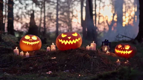 Halloween jack-o-lantern pumpkins and burning candles in night forest 스톡 동영상 162495073