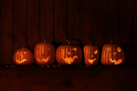 Halloween Jacks Stock Footage 335158