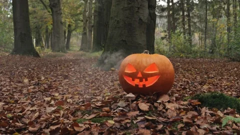 Halloween lantern Stock Footage 317459665