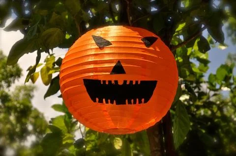 Halloween lantern Stock Photos