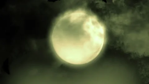 Halloween Moon Bats 2 Stock Footage 248882500