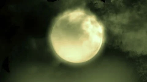 Halloween Moon Bats in the moonlight Stock Footage 236410213