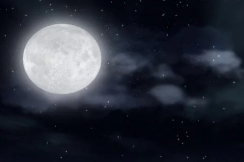Halloween Moon Stock Footage 335159