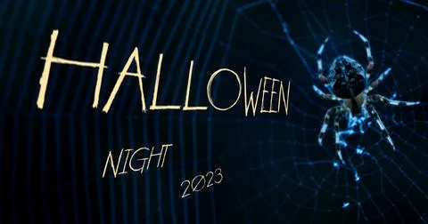 HALLOWEEN NIGHT 2023 Stock Illustration