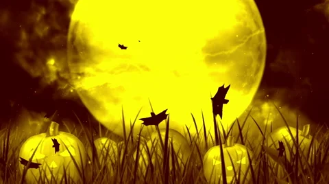 Halloween Night 7 Stock Footage 67622028