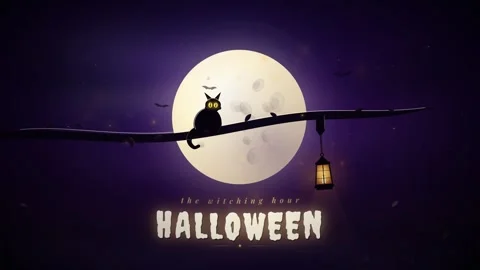Halloween Night Animation Loop with Black Cat, Full Moon and Swinging Lantern Stock Footage 346754605