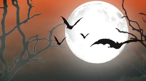 Halloween night background with full moon and bats Stock Footage 68533983