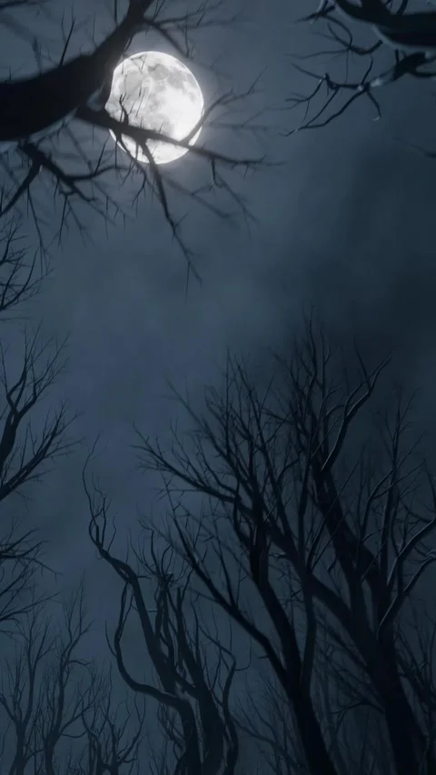 Halloween Night Scene with Full Moon and Dead Trees Portrait Stock Footage 337983244