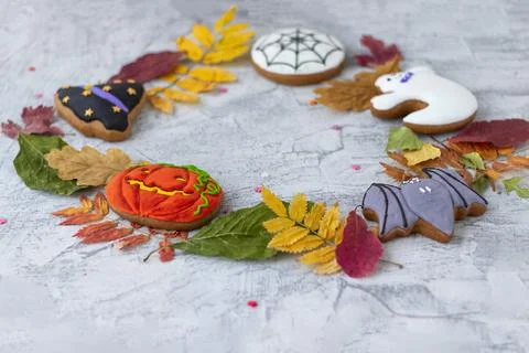 Halloween objects in circle on textured concrete with space for text. Hallowe Stock Photos