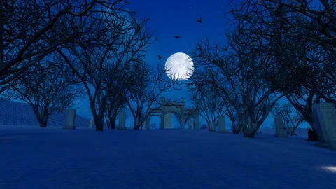 Halloween opening background through dark scary forest and forest of monumen Stock Footage 252735853