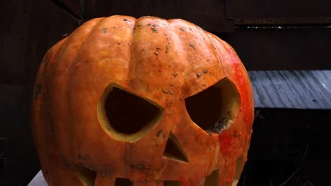 Halloween orange pumpkins Stock Footage 220036312