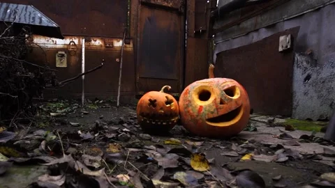Halloween orange pumpkins Видео 220036341