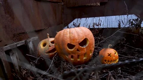 Halloween orange pumpkins Видео 220036345