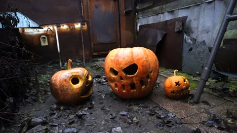 Halloween orange pumpkins Stock-Footage 220036382