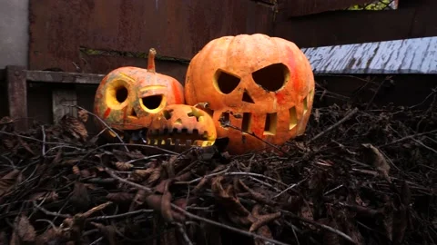 Halloween orange pumpkins 動画素材 220036584