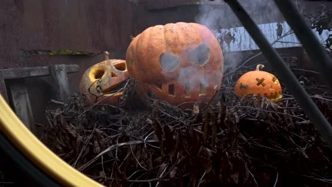 Halloween orange pumpkins Vídeo Stock 220036608