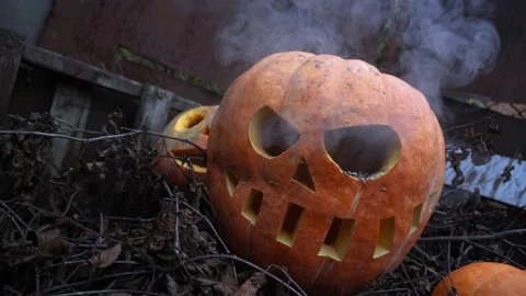 Halloween orange pumpkins Stockbeeldmateriaal 220036642