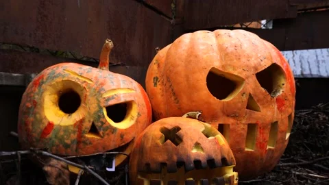 Halloween orange pumpkins Stockbeeldmateriaal 220036651
