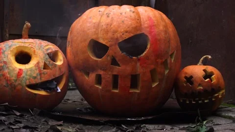 Halloween orange pumpkins Stock Footage 220036654