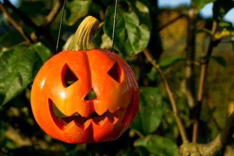 Halloween Stock Photos