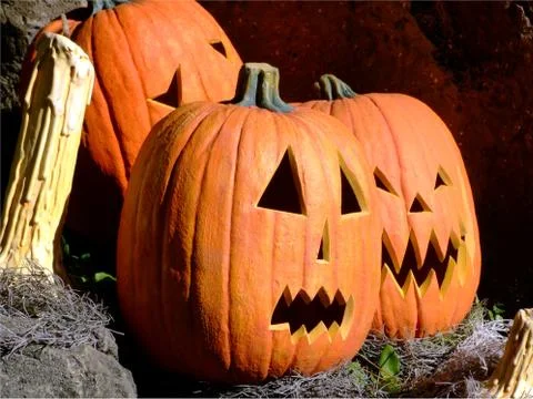 Halloween Stock Photos