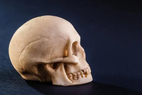 Halloween Stock Photos