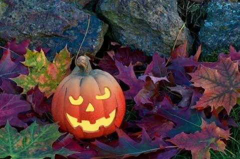 Halloween 스톡 사진