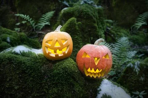 Halloween Stock Photos