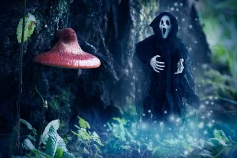 Halloween Stock Photos
